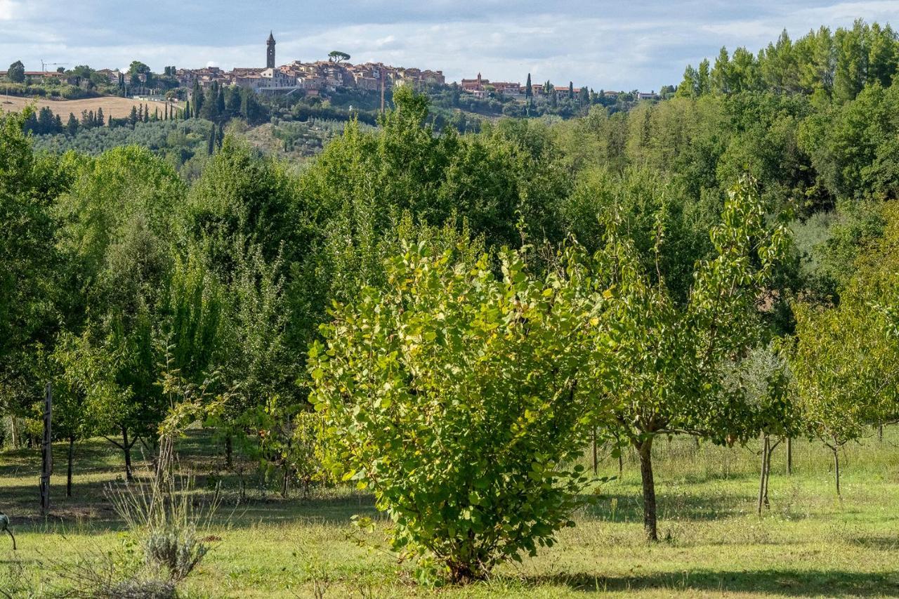 Agriturismo La Valle Peccioli Exteriör bild